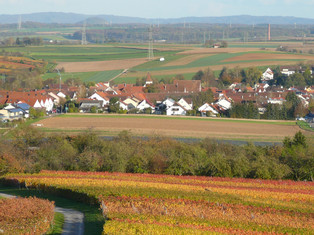 Blick auf Erligheim von Westen