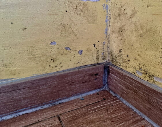 Die Ecken von R&auml;umen sind klassische W&auml;rmebr&uuml;cken, an denen sich h&auml;ufig Schimmel bildet.