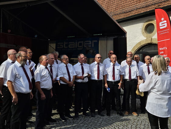 Männerchor des Liederkranzes Erligheim