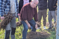 Erfolgreiches Rebenlesen f&uuml;r unsere k&uuml;nftige Backaktion