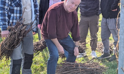 Erfolgreiches Rebenlesen f&uuml;r unsere k&uuml;nftige Backaktion
