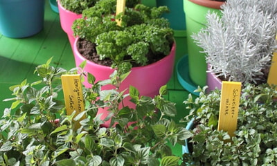 Neues vom hausFRAUENverein