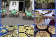 Unser Backhausfest war super