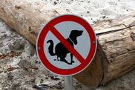 Hundekot auf öffentlichen Wegen und Plätzen bleibt in Erligheim ein Thema, auf das wir wieder hinweisen müssen