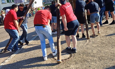 Traditionelles Maibaumstellen
