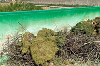 Hinweis zur Entsorgung von Gartenabfällen wie Heckenrückschnitt oder Holzreste