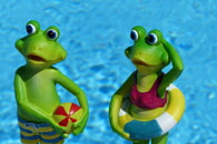 Neues vom Hausfrauenverein