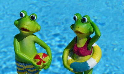 Drei Termine im November 2025