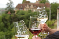 3B-WEIN-H&Ouml;HEPUNKTE &ndash; Genusswandern im 3B-Land am 9.8.2026