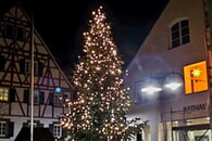 R&uuml;ckblick und Jahresabschluss 2025