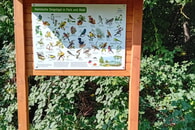 NABU-Ortsgruppe Erligheim unterstützt Naturkindergarten