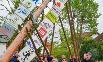 Traditionelles Maibaumstellen